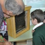 Beekeeping workshop 1