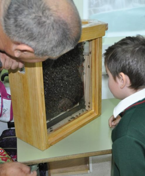 Beekeeping workshop 1