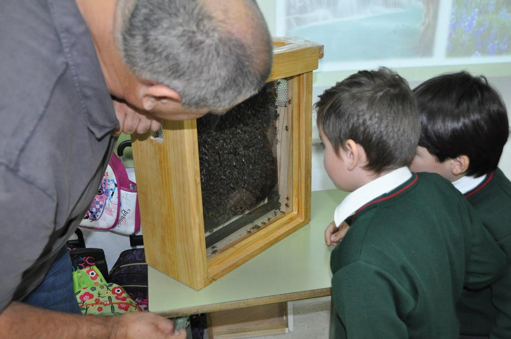 Beekeeping workshop 1