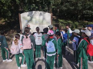 Jardin Botanico in Malaga 1