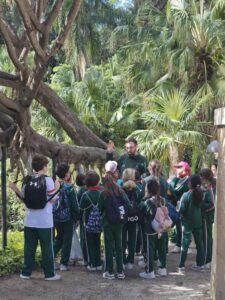 Jardin Botanico in Malaga 3