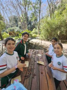 Jardin Botanico in Malaga 9